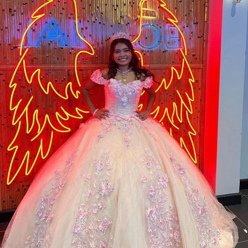 Pink Shiny Lace Ball Gown Quinceanera Dress 2024 Applique 3D Flower Beaded Sweetheart Sweet 16 Dress Lace-up Vestido 15 Años Pink Shiny Lace Ball Gown Quinceanera Dress 2024 Applique 3D Flower Beaded Sweetheart Sweet 16 Dress Lace-up Vestido 15 Años