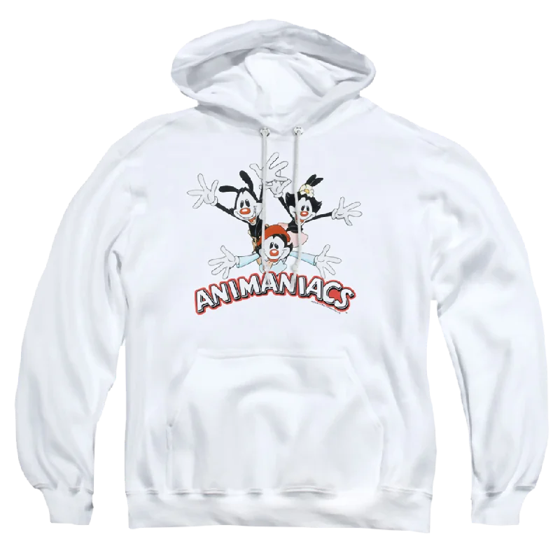 Animaniacs Animaniacs Trio - Pullover Hoodie Fitted Ribbed Sweater