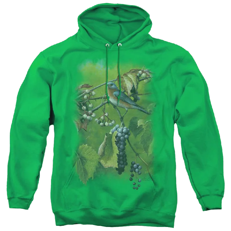 Wild Wings Summertime Estrn Bluebird - Pullover Hoodie Sabrina Neck Pullover